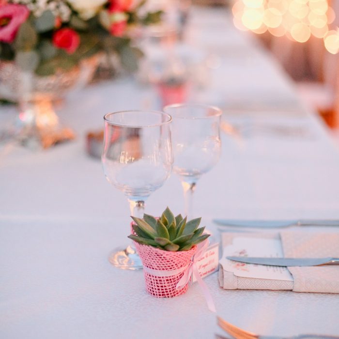 Domeniul_greaca_sweet_vintage_wedding_24