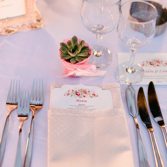 Domeniul_greaca_sweet_vintage_wedding_27