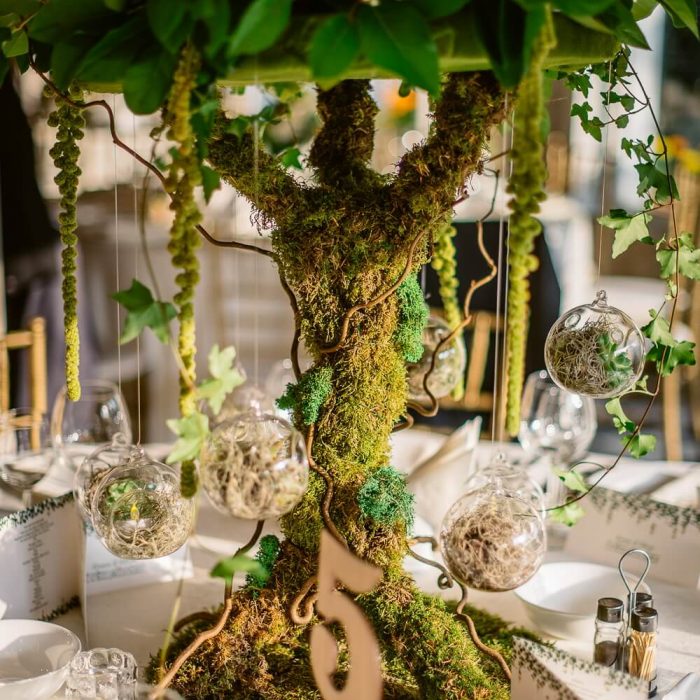 La-seratta-secret-garden-themed-wedding
