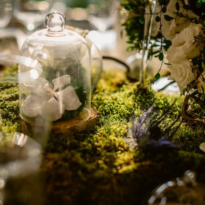 La-seratta-secret-garden-themed-wedding_9