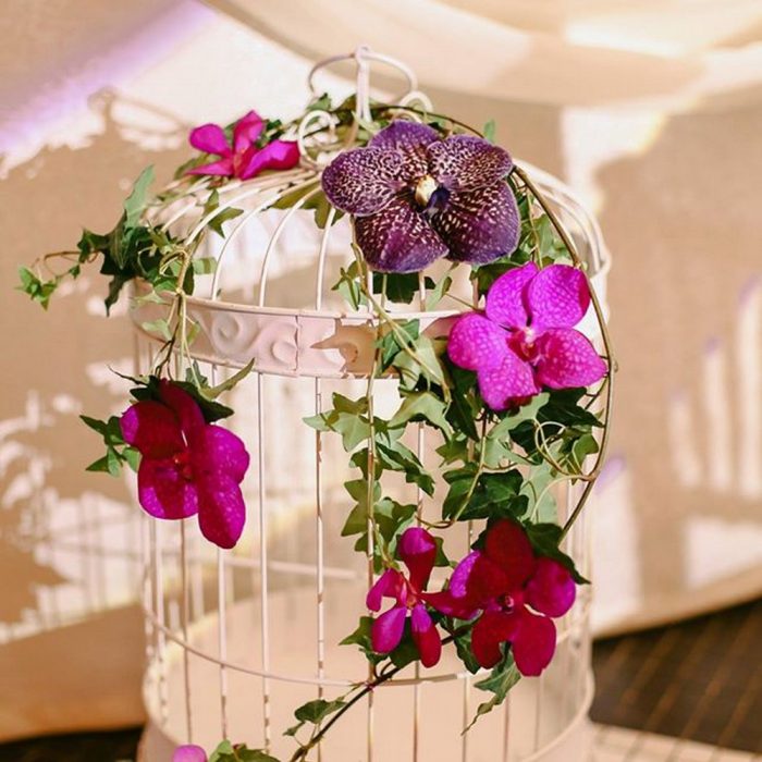 La_seratta_purple_love_wedding